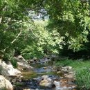 솔치농장 이미지