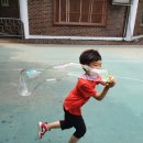 성요셉유치원 이미지