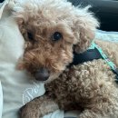 심상의 풍경 | 강릉 숙소 추천, 심상🍀