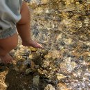 법수치여울목펜션 이미지