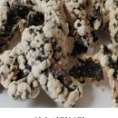 부여하늘농장 이미지