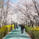 10월23일(금) 매봉산.양재천산책로 이미지
