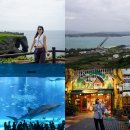 (유)아시아렌터카 | 오키나와 북부투어: 뚜벅이 버스 투어 추천, 만좌모 등 코스 후기