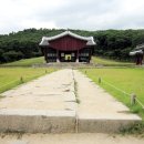 봉수로가로수 | 경기 / 김포 / [이한성의 옛절터 가는 길 - 34] 김포 장릉 ~ 고산사 길