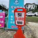 팜카밀레 | 태안애견동반여행 태풍이와 팜카밀레허브농원 다녀온 후기
