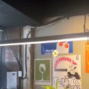 논드라이 (Nondry) 이미지