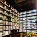 북카페 - 흔적 | 을지로 감성 북카페 ‘카페 느티(CAFE N:TEE)’ 방문 후기 🏙️