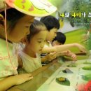 나비공원1(자연교육센터) 이미지