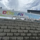 도그베이 오산점 이미지