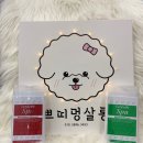 쁘띠 펫 살롱 이미지