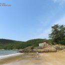 발포해수욕장 티스토리