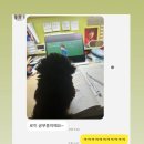 라이언펫 수원광교동물병원 이미지