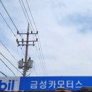 금성카모터스 이미지