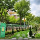 푸른숲학교 이미지