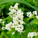 상상농장 이미지