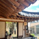 국화애견하우스 이미지