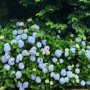 동광리경로당 이미지