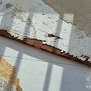 방배로37길 26-9 (9) 이미지