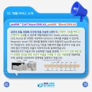 제네스젠 이미지