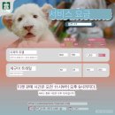 히든빌리지 이미지