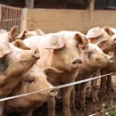 사려깊은한의원 이미지