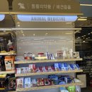 울산 북구 매곡동 연중무휴 약국 추천｜호계에서도 가까운 드림약국 방문 후기 주차가능약국
