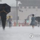 서울 전역에 호우경보…"앞을 보기 어려울 정도 많은 비" 이미지