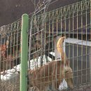 스테이4324 이미지