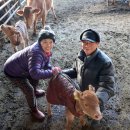 미동농장 이미지