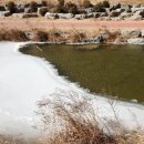 베베네 개스트하우스 이미지