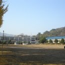 흥룡초등학교 이미지