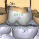 윤디지털치과기공소 이미지