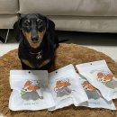 멍멍제과점 이미지