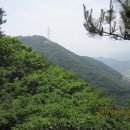 희승농장 이미지