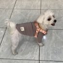 김수영 동물병원 이미지
