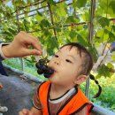 석호농원 이미지