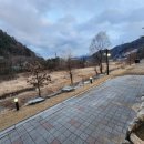 브룩파이브