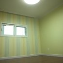 동아목련 이미지