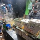 고은이네 티스토리