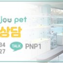 비쥬펫 이미지