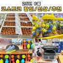 코스트코 신상 및 할인 추천템 🛍️ | 2025년 6월 코스트코 장보기 | 코스트코 베이커리/델리 신상