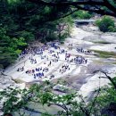 무릉공원 주차장 이미지