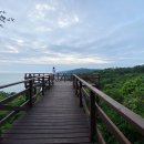 가래칠기 이미지