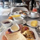 포포인츠 바이 쉐라톤 수원 | 포포인츠 바이 쉐라톤 수원 프리미어 파크뷰 내돈내산 후기[조식맛집/가성비호캉스]