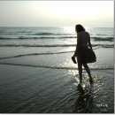 바다 그리고 이미지