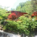 숲속의 웰빙 황토펜션 이미지