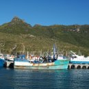 케이프타운 이미지