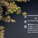 초승달 crescent moon 대한민국 대전광역시 이미지