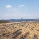 울진부동산공인중개사사무소 이미지