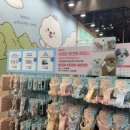 대상펫라이프(주) | 일산 메가주 케이펫 푸디부 4종 노즈워크 저칼로리 간식 추천 솔직 후기